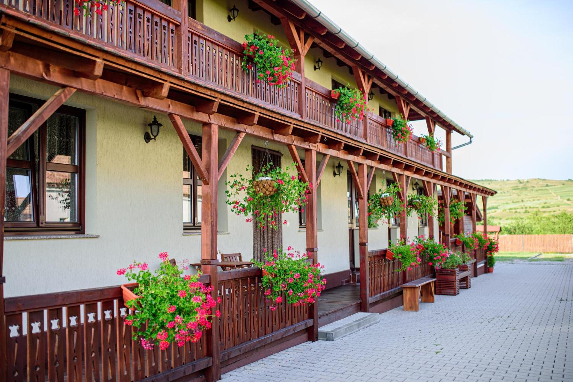 Vendegvaro Panzio Lupeni  Exterior foto